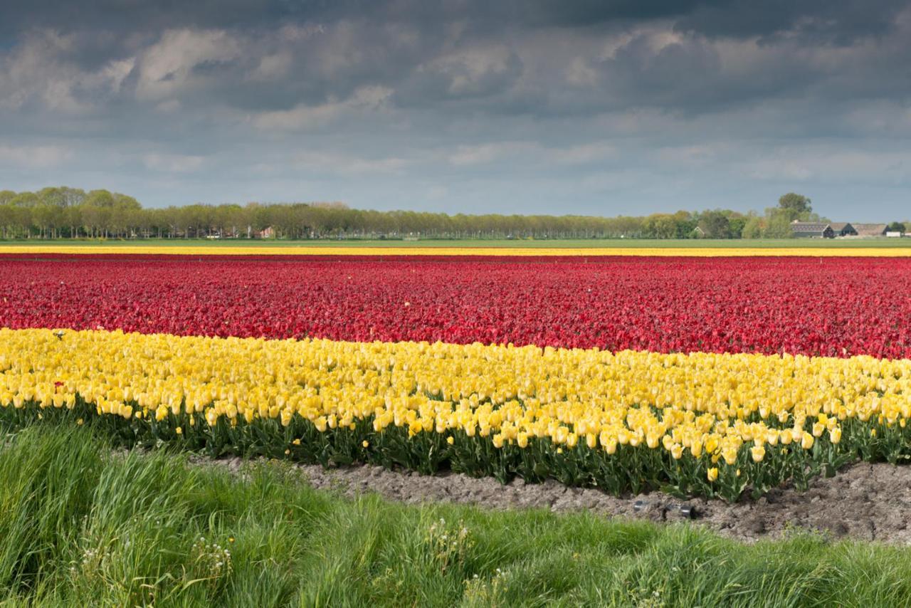 Buitenplaats Langewijk Zuidoostbeemster Екстериор снимка